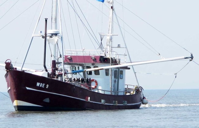 "luttdons" in the Haus am Deich - Foto 16