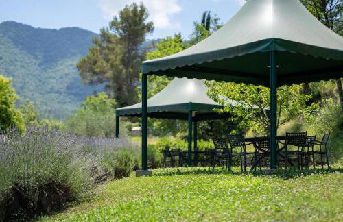 Il Giardino del Sole - Lavanda - Foto 20