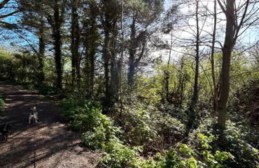 The Round House - Foto 24