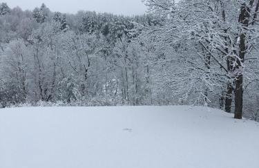 Sullivan Farm at Helton Creek - Fire Pit - Foosball - Fireplace - Photo 3