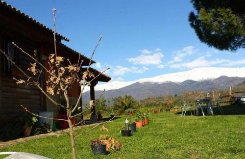 La CABAÑA - Foto 11