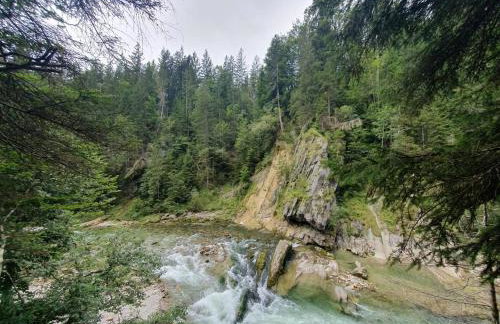 Fewo Waldtherme Relaxen, wandern, Radfahren - Foto 33