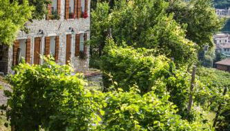 Vite in Rosa La Casetta - Foto 1, Garden, Garden view