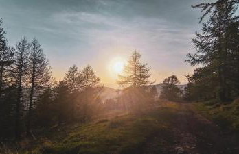 La Cabane de Marie - Foto 25