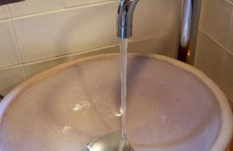 Ca naleix verdu - Foto 100