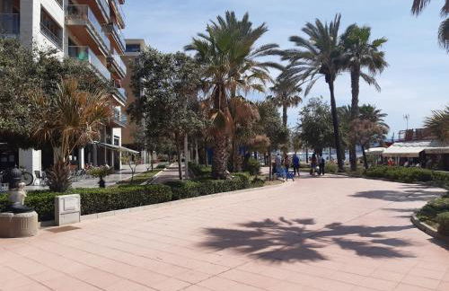 Apartamento Eursu Playa - Photo 33