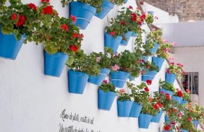 Jardines del Mar ,Casa Apolonia - Photo 50