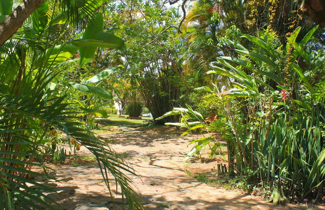 Hotel Tia Dora - Photo 65