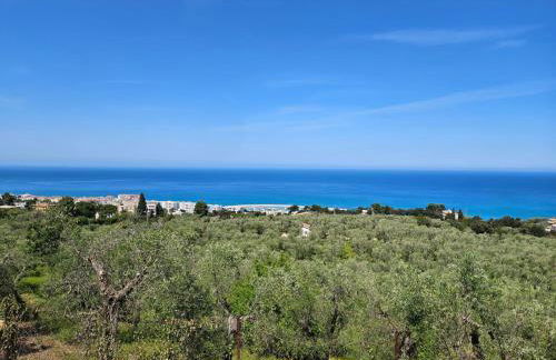 Joivy Dimore Rodiane - U Vucc'l - Foto 19