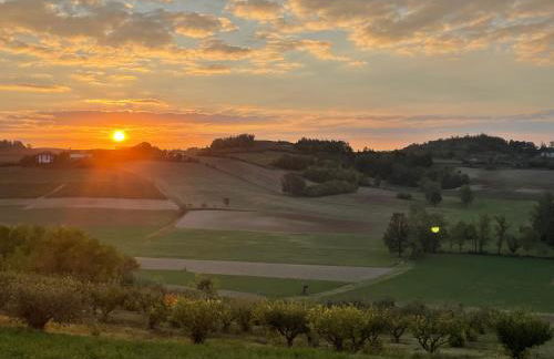 Azienda Agricola Tenuta del Barone - Photo 29