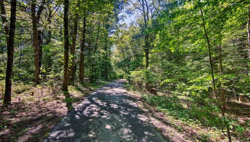 Hike, Hunt and Unwind Cozy Cabin Near Hersheypark - Foto 3