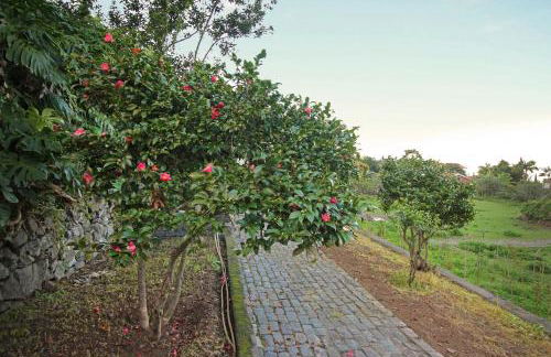 Solar Arco de São Jorge - Foto 43