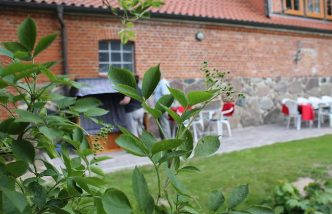 Gutshaus in Gressow mit Teich - Foto 28