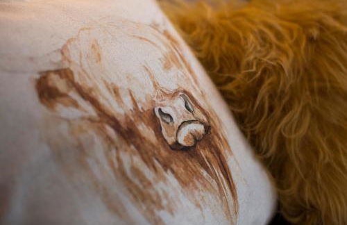 The Invergarry - Royal Deeside Luxury 5 star Couples Retreat with Hot Tub, Aboyne - Foto 20