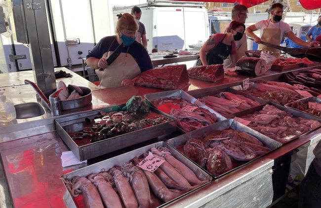 Sunset Modern Apt - Near Beach, Wifi & Cable TV - Foto 16