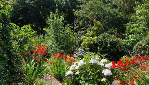 Treetops Lodge, private Cornish hideaway, parking, garden - Foto 3, Garden view
