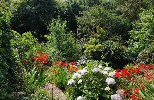 Treetops Lodge, private Cornish hideaway, parking, garden - Foto 3