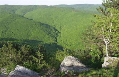 Seoski Turiziam Larva - Photo 47