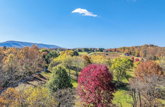 Mariposa Moon Cottage at Sleepy Creek - Foto 49