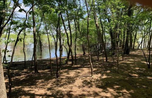 Cozy Cottage • 2 King Beds • Grove • Kayaks • Washer/Dryer - Foto 11