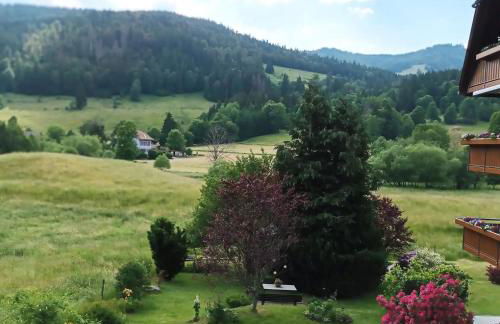 Aufblühen in Menzenschwand - Foto 34