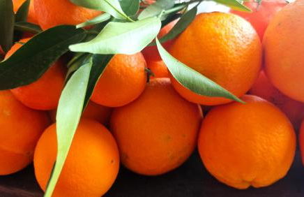 Peloponnese Hideout - White house with the sea view - Photo 68