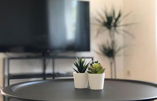 Flat for 6,best price for month, best for workers - Foto 15