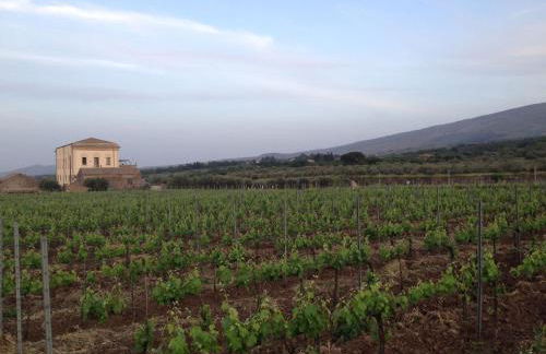 Feudo Vagliasindi -Wine Experience- - Foto 53