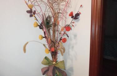 Puente Villanueva dreans - Foto 19