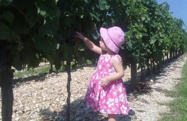 AGRITURISMO Casa Riz - Foto 29