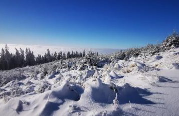 Przestronny apartament nr 7 z widokiem na góry Sowie - Foto 32