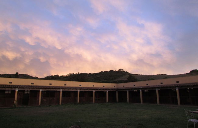 Cavalli di S'Arcaite - Foto 48