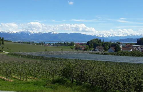 Landhaus Erben - Foto 45