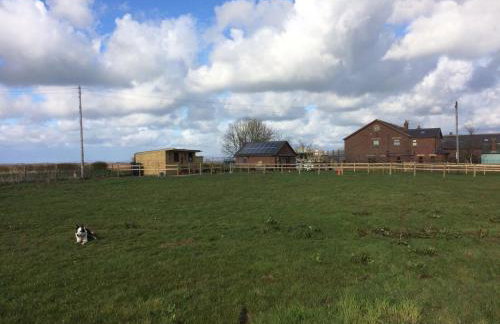 The Bungalow - Photo 15