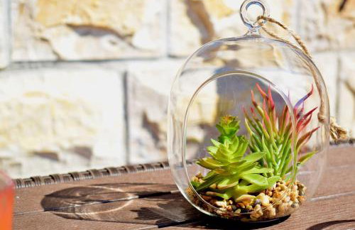 VILLA DINJA - Photo 15