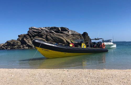 LE DAUPHIN - 3 chambres - 8 personnes - proximité plage - Foto 18