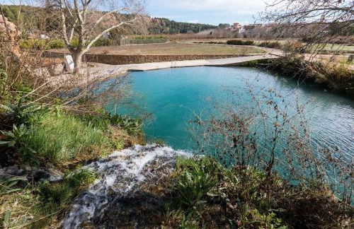 El Surtidor - Foto 17