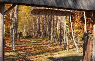 Domek Baby Jagi Prawdziwy Survival - Foto 2