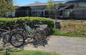 Optimist Sunlife Ostsee - Foto 12