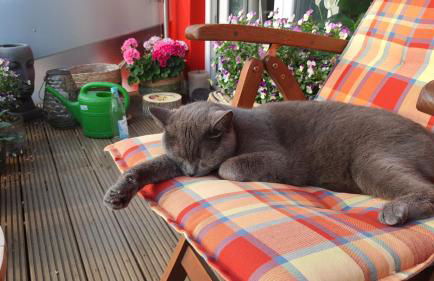 Helle Wohnung mit Balkon 120qm, 4Zimmer - Foto 24