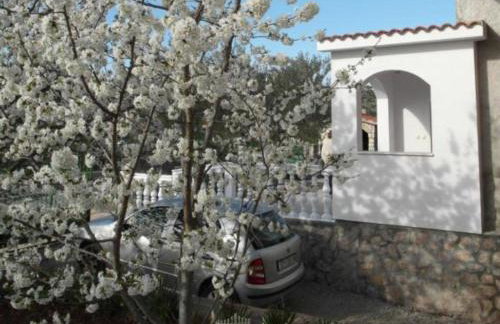 Apartment Antonio - Photo 37