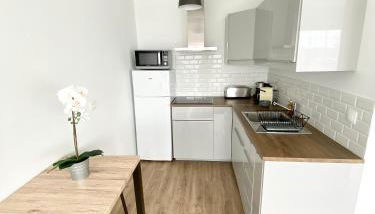 L'INDUSTRIEL CHIC, 2 PIECES AVEC VU IMPRENABLE SUR ROUEN - Foto 3