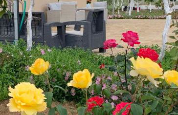 Vasiliki's Apartments - Foto 31