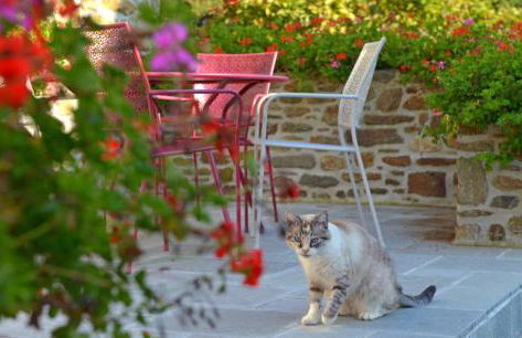 Hostellerie de la Motte jean - Foto 14