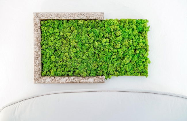 The Green Nest by Lake Como - Foto 23