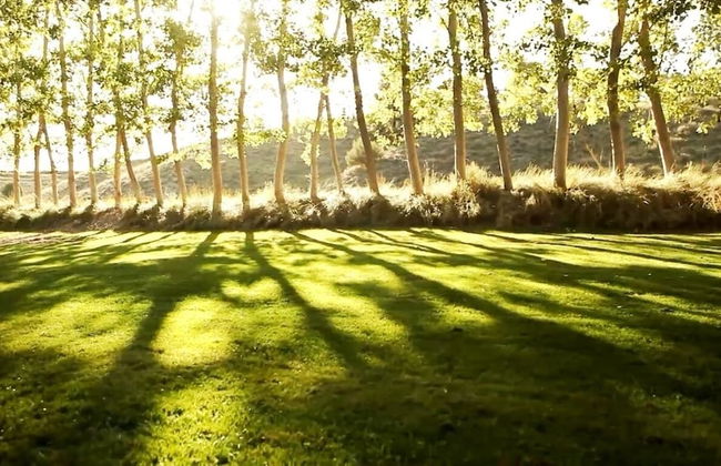 Casa rural El Salero en Moratalla - Foto 60