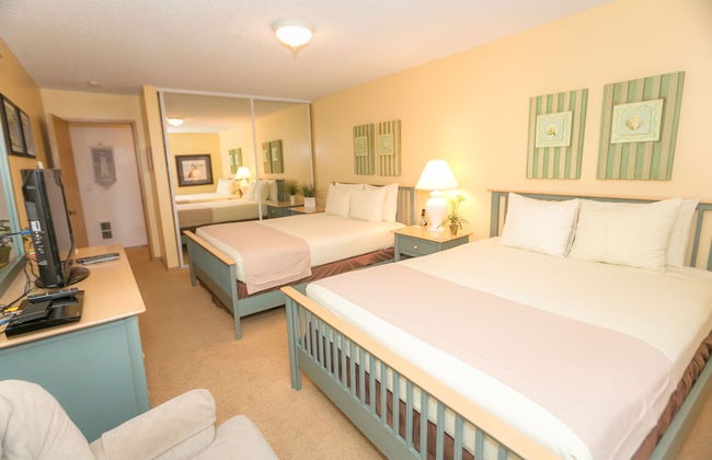 The Grey Gull - Foto 13