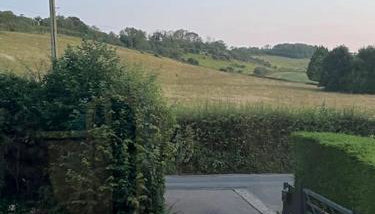 Little Sycamore - Foto 2