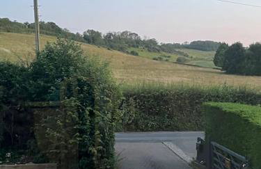 Little Sycamore - Foto 2