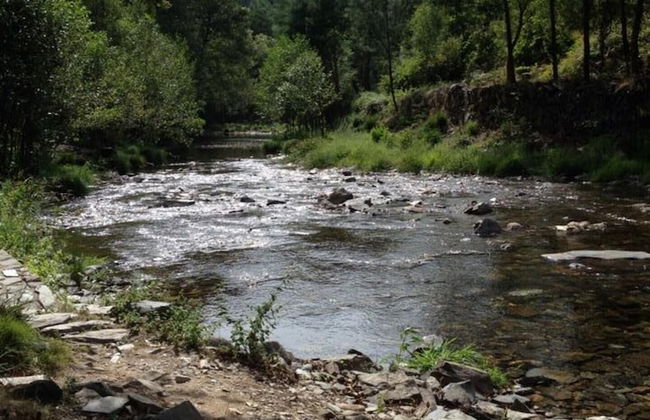 Refugio da Montanha Amazing Views Gois Region - Foto 26